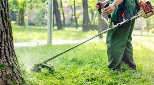 Avviso di manifestazione dinteresse manutenzione strade e verde pubblico anno 2026